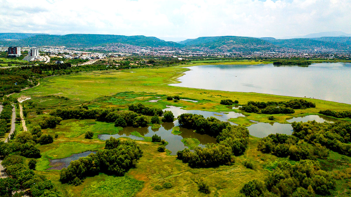 Parque Metropolitano de León: un lugar para correr, convivir, respirar y redescubrir la ciudad